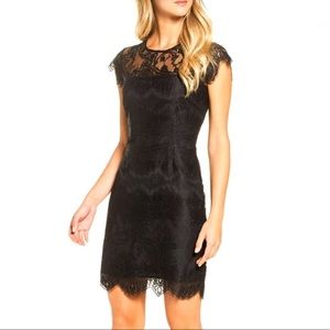 BB Dakota Size 2, Black Lace Skater Dress